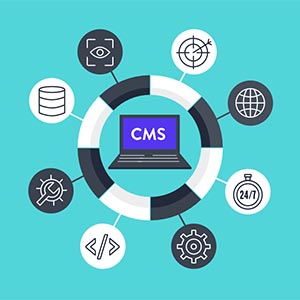 cms development company in india