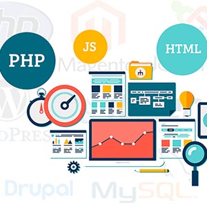 dynamic website development in india