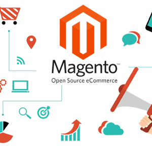 magento website development in india