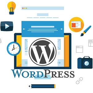 wordpress website development in india